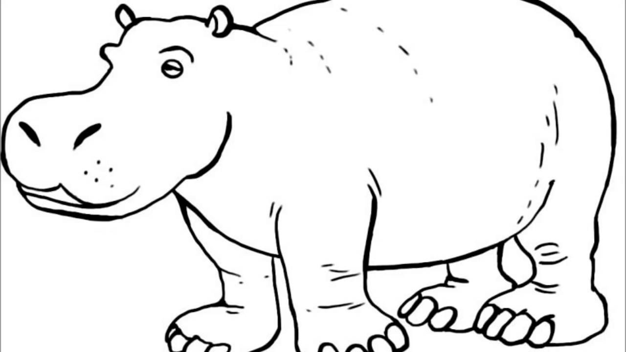 1280x720 Directed Drawing Hippo For Free Download