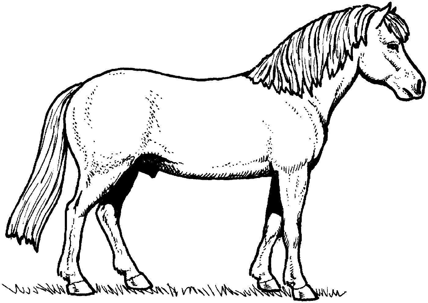 Simple Horse Drawing | Free download on ClipArtMag