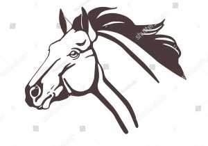 300x210 horse head drawing outline simple horse head drawing simple horse