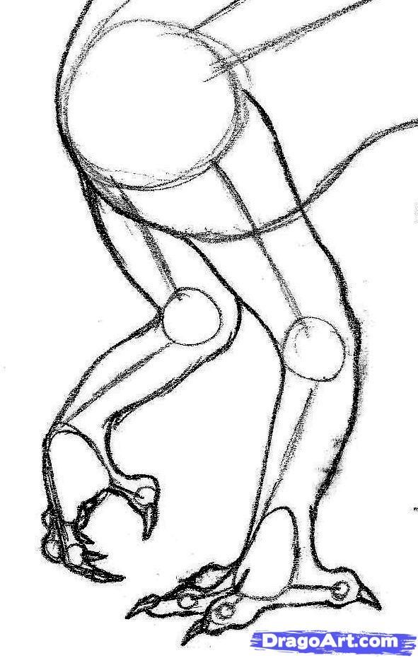 591x931 Image Result For Simple Dragon Body Drawing Mythical Creatures