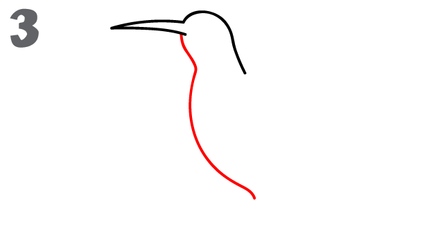 642x363 How To Draw A Hummingbird