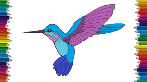 300x169 How To Draw A Hummingbird Step