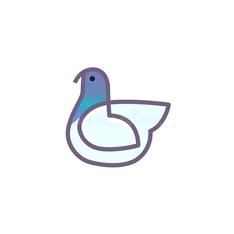 800x800 Simple Bird Outline Best Birds Coloring
