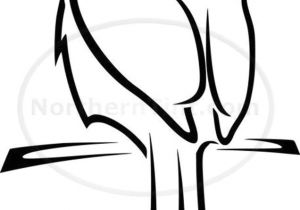 300x210 Drawing A Cartoon Hummingbird Simple Hummingbird Line Drawing Draw
