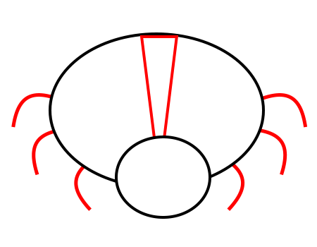 450x350 Drawing Cartoon Insects