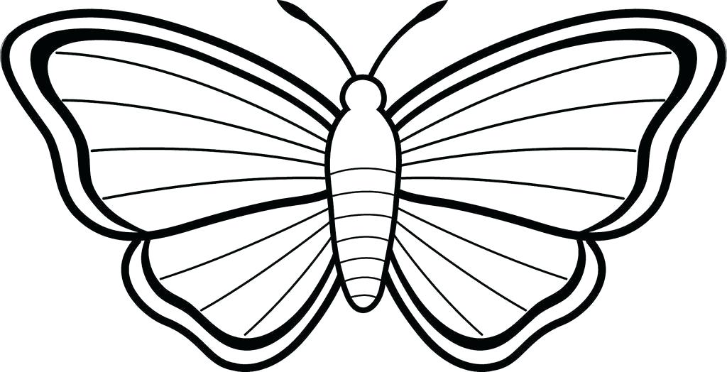 1024x524 Simple Drawing Of Butterfly Simple Butterfly Drawing Outline