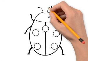 300x210 Simple Insect Drawing Drawingskids Kids Learn To Draw Insects