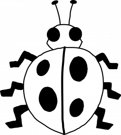250x279 Vector Insects Simple, Picture