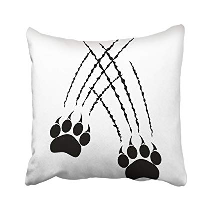425x425 Emvency Inch Decorative Throw Pillow Cover