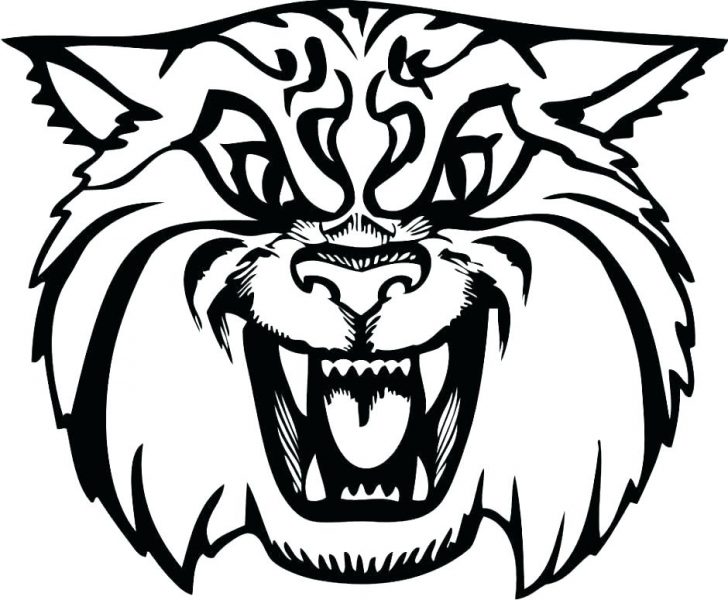 728x600 Baby Jaguar Colouring Pages Printable Coloring Diego