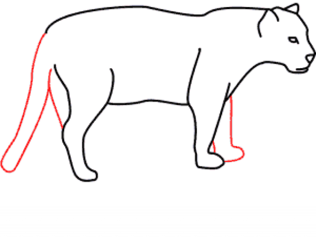 640x480 Free Drawn Jaguar, Download Free Clip Art