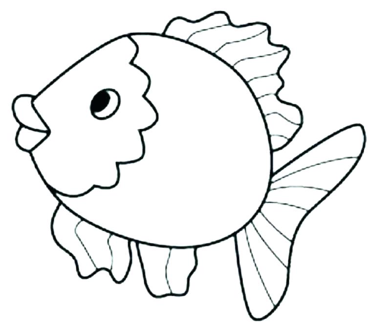 800x680 Jellyfish Coloring Pages Jellyfish Coloring