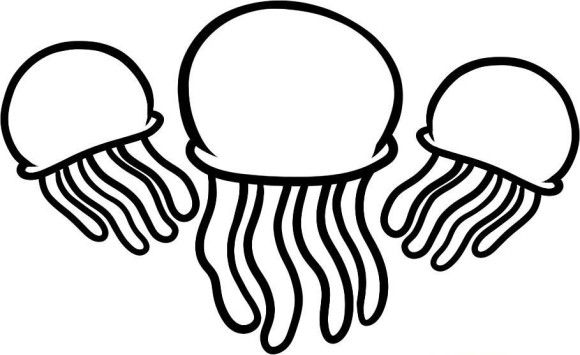 580x355 Easy Coloring Pictures Jelly Fish