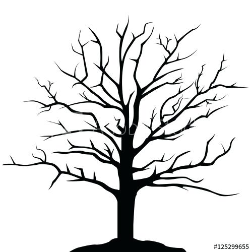 500x500 Simple Drawing Of A Tree Simple Family Tree Drawing Simple Tree