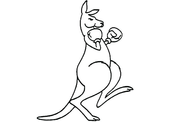 720x480 Kangaroo Drawings Design Kangaroo Rat Drawings