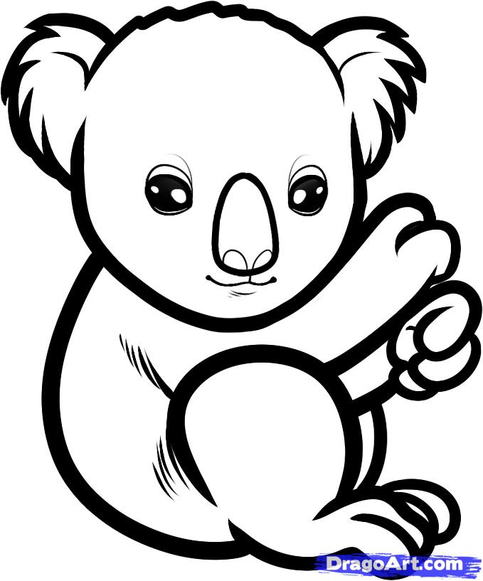 679x817 Simple Koala Bear Drawing