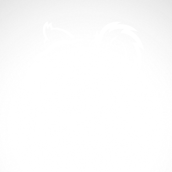 600x600 Simple Color Vinyl Koala Stickers Factory