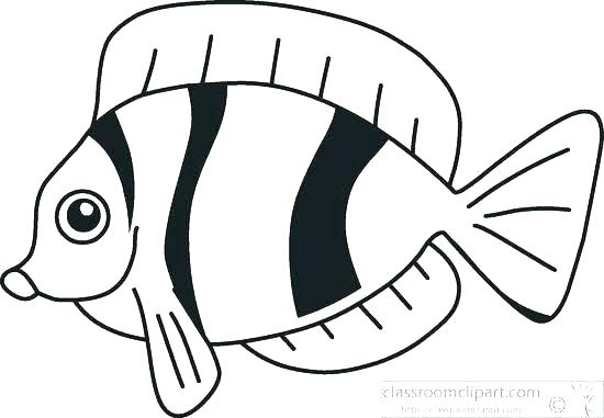 550x381 Simple Fish Outline Free Clip Art Images Wiki Koi Drawing