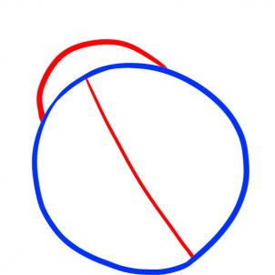 302x302 How To Draw How To Draw A Ladybug For Kids