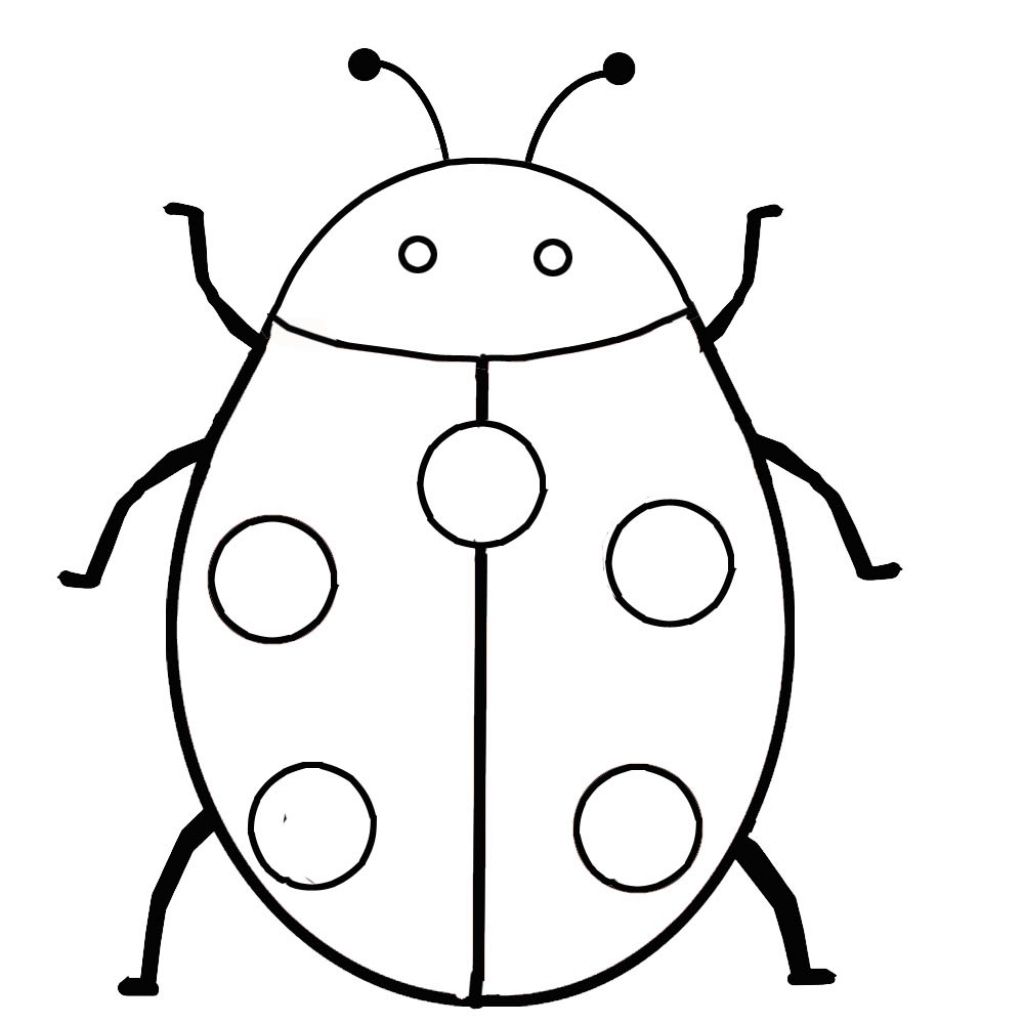 1024x1024 ladybug drawing for kids and simple ladybug drawing easy ladybug