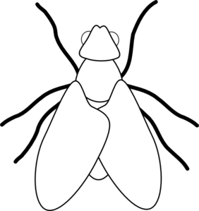 282x299 Bugs Drawing Simple Huge Freebie! Download For Powerpoint