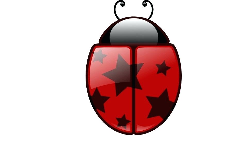 900x600 Ladybug Drawings Miraculous Ladybug Anime Drawings