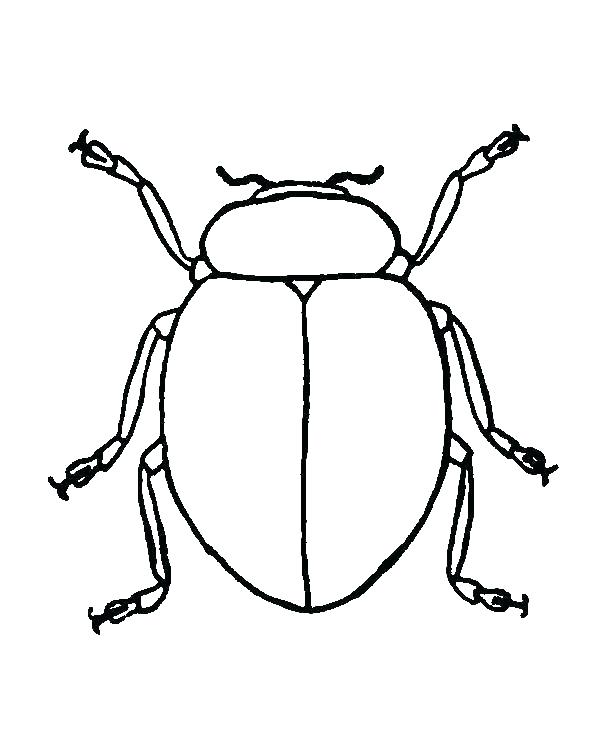 600x756 Simple Bug Drawings A Simple Ladybug Drawings