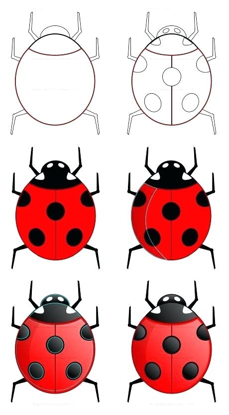 460x832 How To Draw Lady Bug How To Draw Ladybug Drawings How To Draw