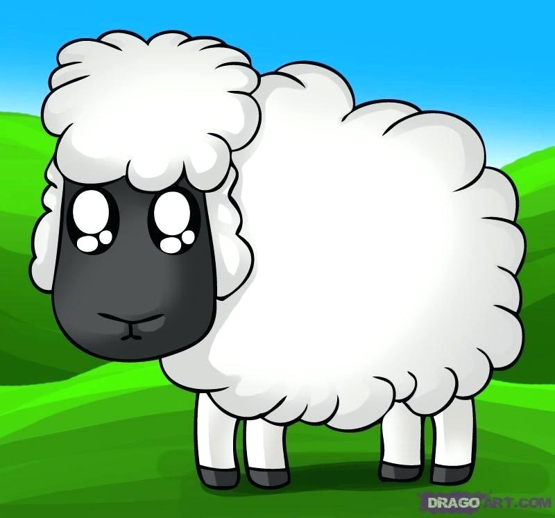 800x747 Draw Lamb Picture How To Draw Lamborghini Logo Easy