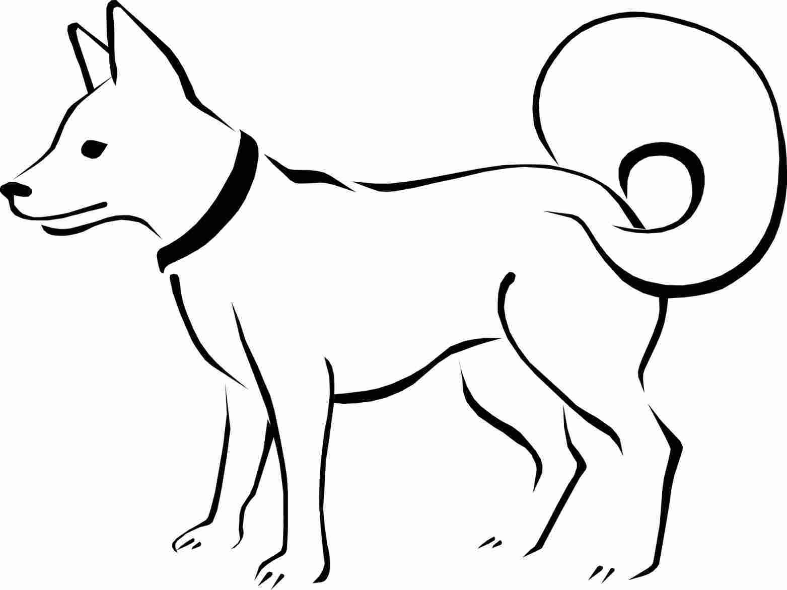 1563x1172 Rhcollectioncom Simple Lamb At Getscom Free For Personal Use