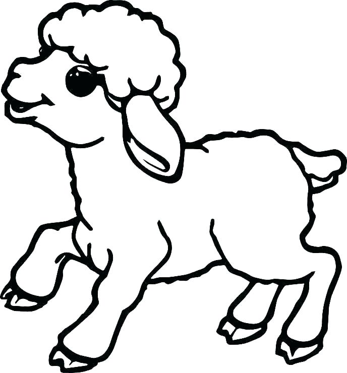 688x740 Sheep Drawing Free Download