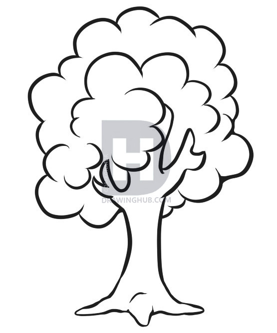 555x669 How To Draw A Simple Tree, Step