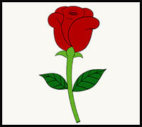 200x178 How To Draw Roses With Easy Step