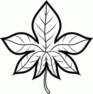 298x302 How To Draw How To Draw An Autumn Leaf