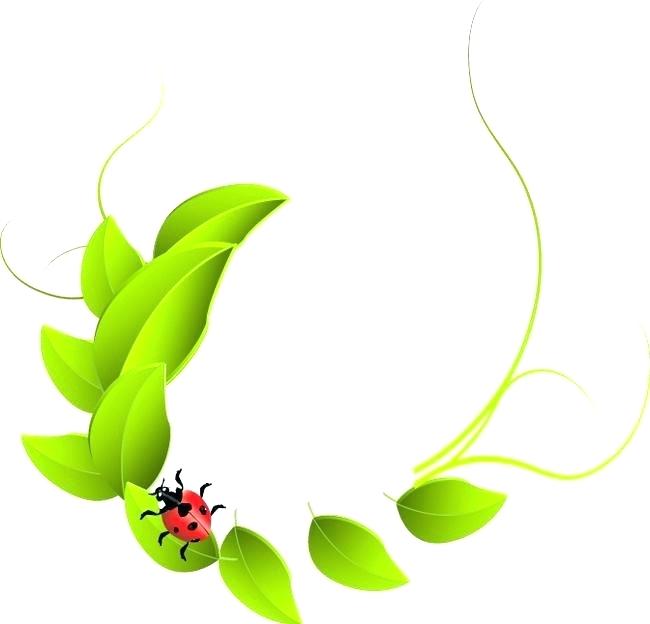 650x624 Simple Leaf Drawing Simple Leaf Art Black And White Simple Holly