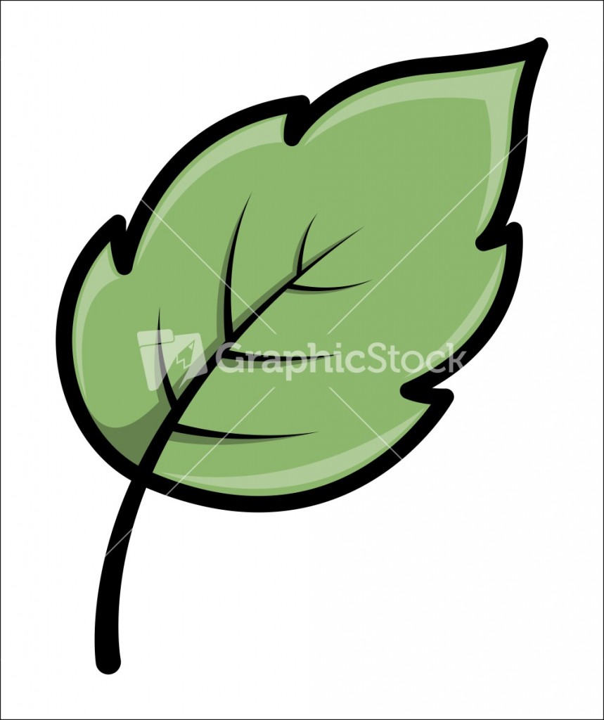 859x1024 Simple Leaf Vector Image