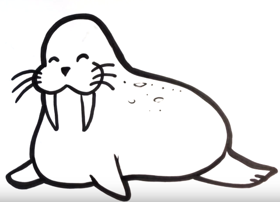 573x415 How To Draw A Walrus Step