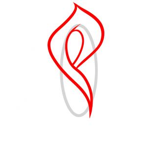 302x302 How To Draw How To Draw A Lily For Kids, Calla Lily