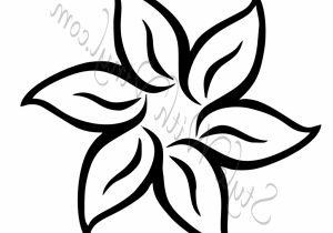 300x210 Simple Drawing Of A Flower Pinbear Bear On Drawing