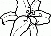 200x140 Simple Tiger Coloring