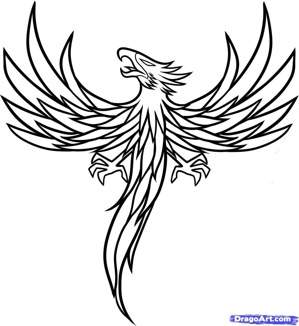 1020x1114 Simple Phoenix Line Drawing