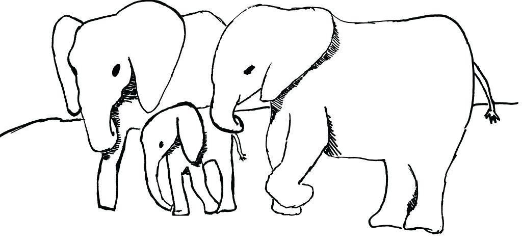 1024x477 Elephant Picture For Drawing Elephant Drawings For Kids How
