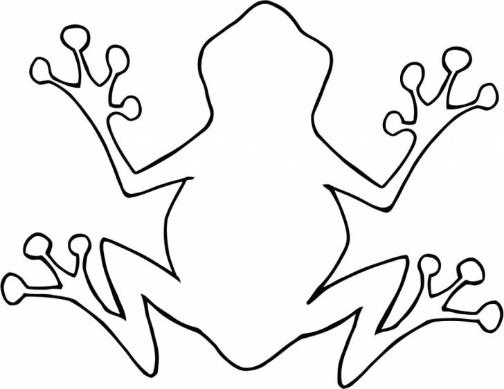 728x562 Frog Drawing Easy Poison Dart Tree Step