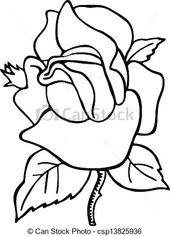 339x470 Rose Drawing Simple Rose Flower Line Drawing Simple Lotus Flower