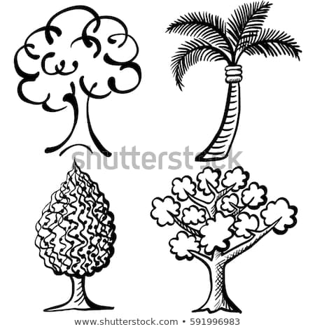 450x470 Huge Collection Of 'black And White Trees Drawing' Download More