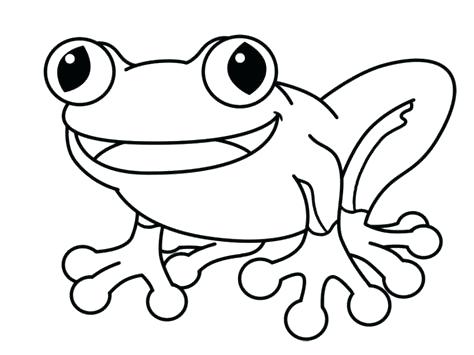 474x355 Simple Frog Drawing Tree Frog Drawing Panda Free Images Simple
