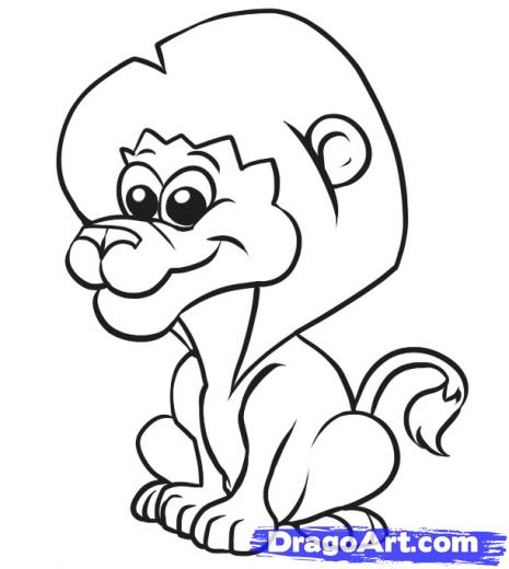 465x520 Step How To Draw A Simple Lion