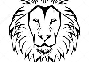 300x210 Basic Lion Drawing Simple Drawing Of A Lion Drawings Of Lions