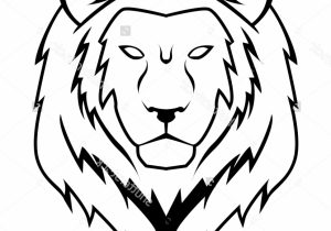300x210 Drawing Of A Lion Face How To Draw A Lion