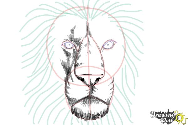 600x400 Easy Lion Face Drawing For Kids